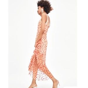 Polk a dot sheer dress 👗